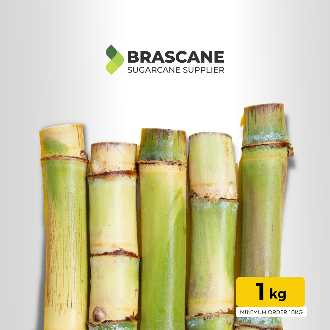 Cana-de-Açúcar Fresca – Tipo Brasileiro