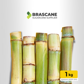 Cana-de-Açúcar Fresca – Tipo Brasileiro